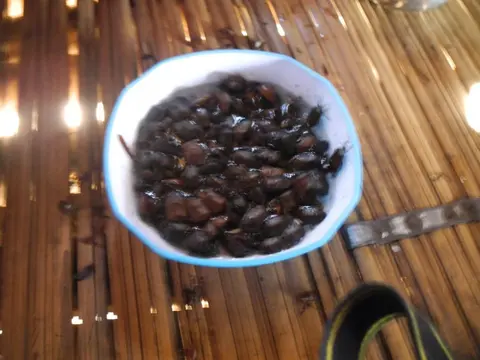 Gandi Puk digaru/pahwaü